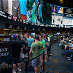 where to bet on sports in vegas